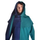 Medieval Hood with Liripipe two-colored